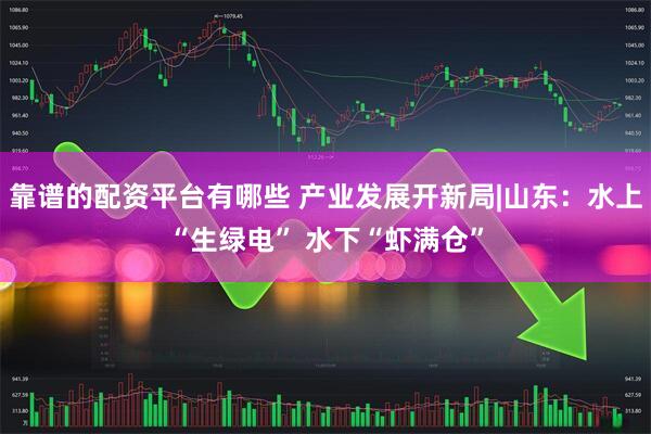 靠谱的配资平台有哪些 产业发展开新局|山东：水上“生绿电” 水下“虾满仓”